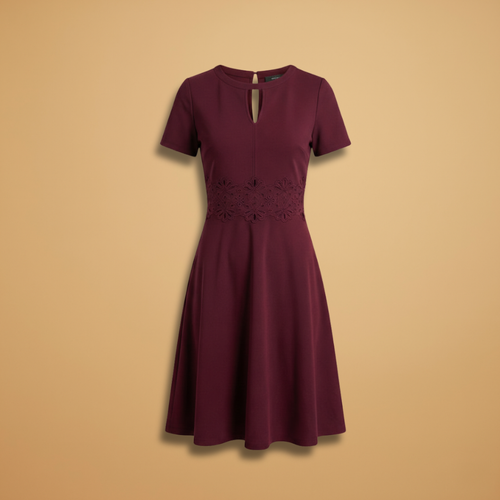 Elegant Lace Detail Women's Dress with Defined Waist for Formal and Casual Occasions 1